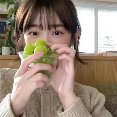 教室里的一头牦牛